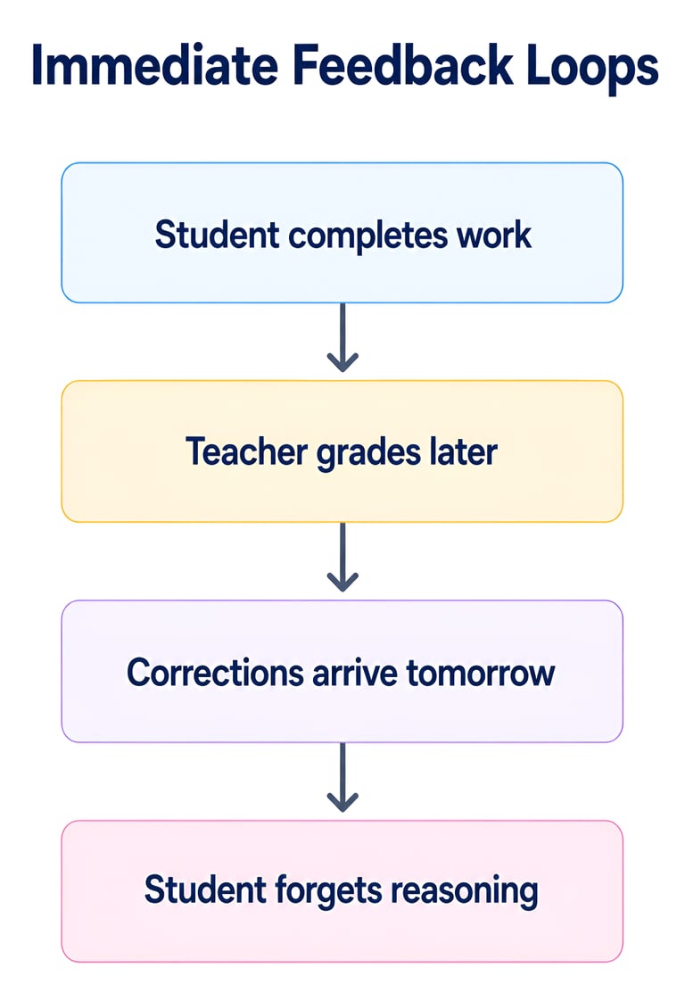 Immediate Feedback Loops