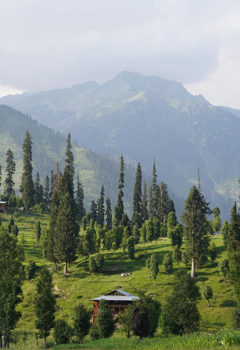 Arang kel neelum valley