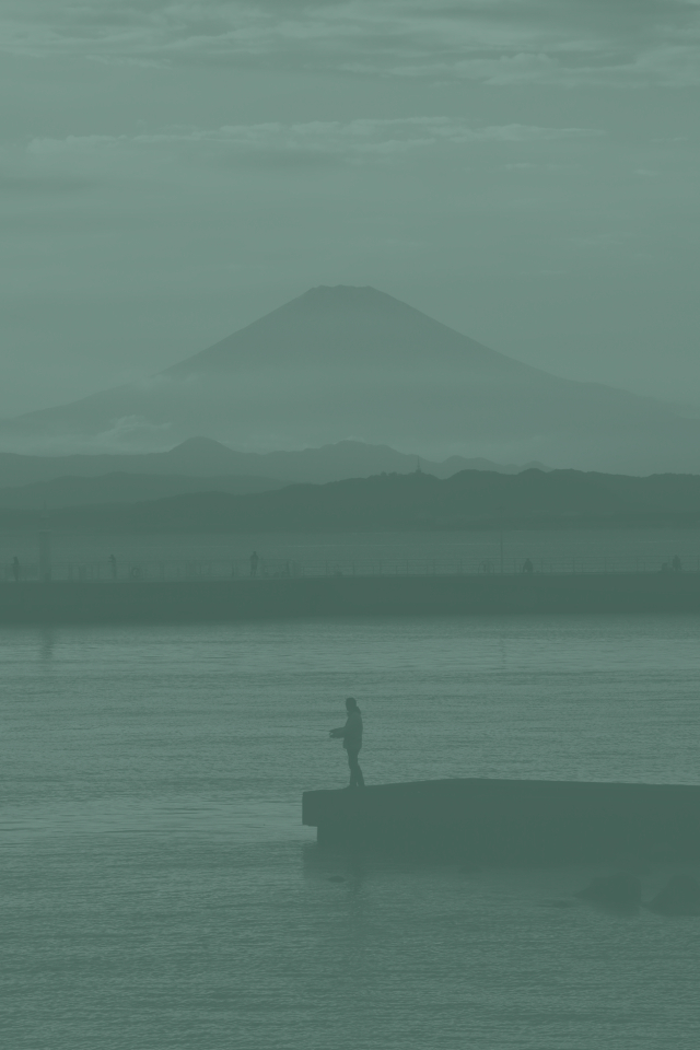 Marcasao Marketing: SEM Process Solutions