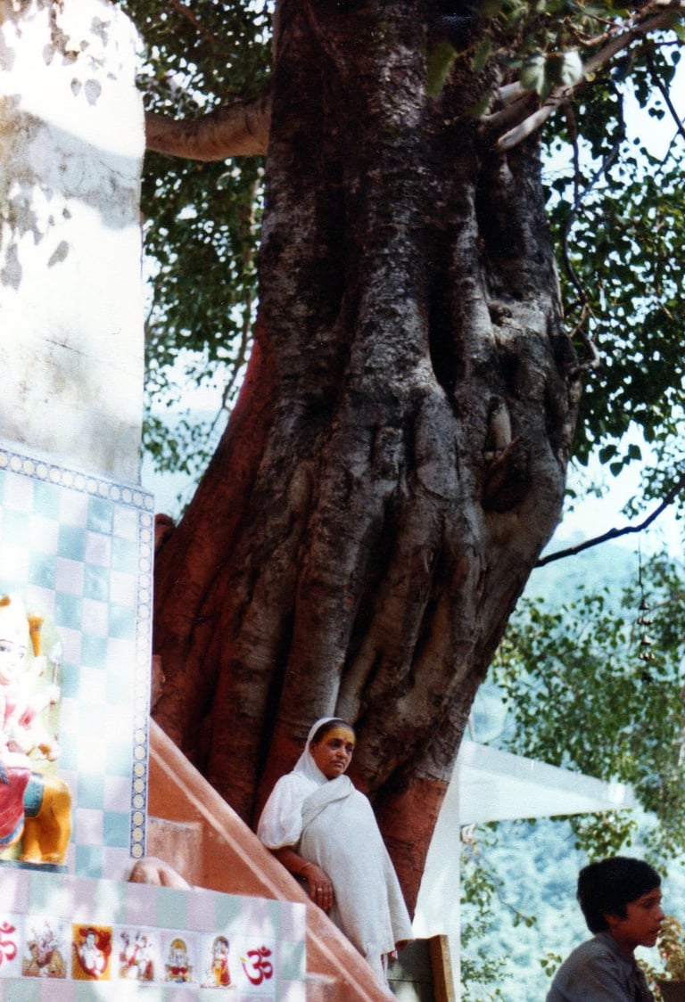 Ingresso al kutir di Babaji, Hairakhan