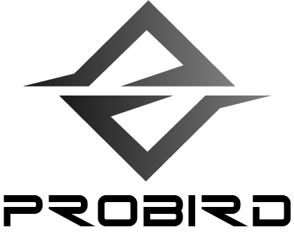 3D Printing Services Probird