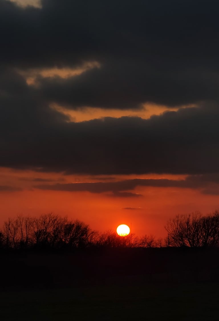Orange glowing sunset portrait with grey clouds and tree silhouettes
