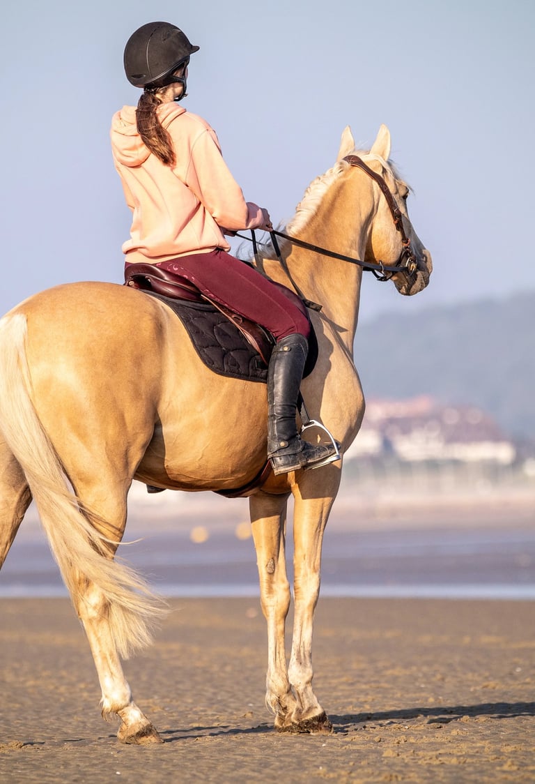couple cavalier cheval a la plage