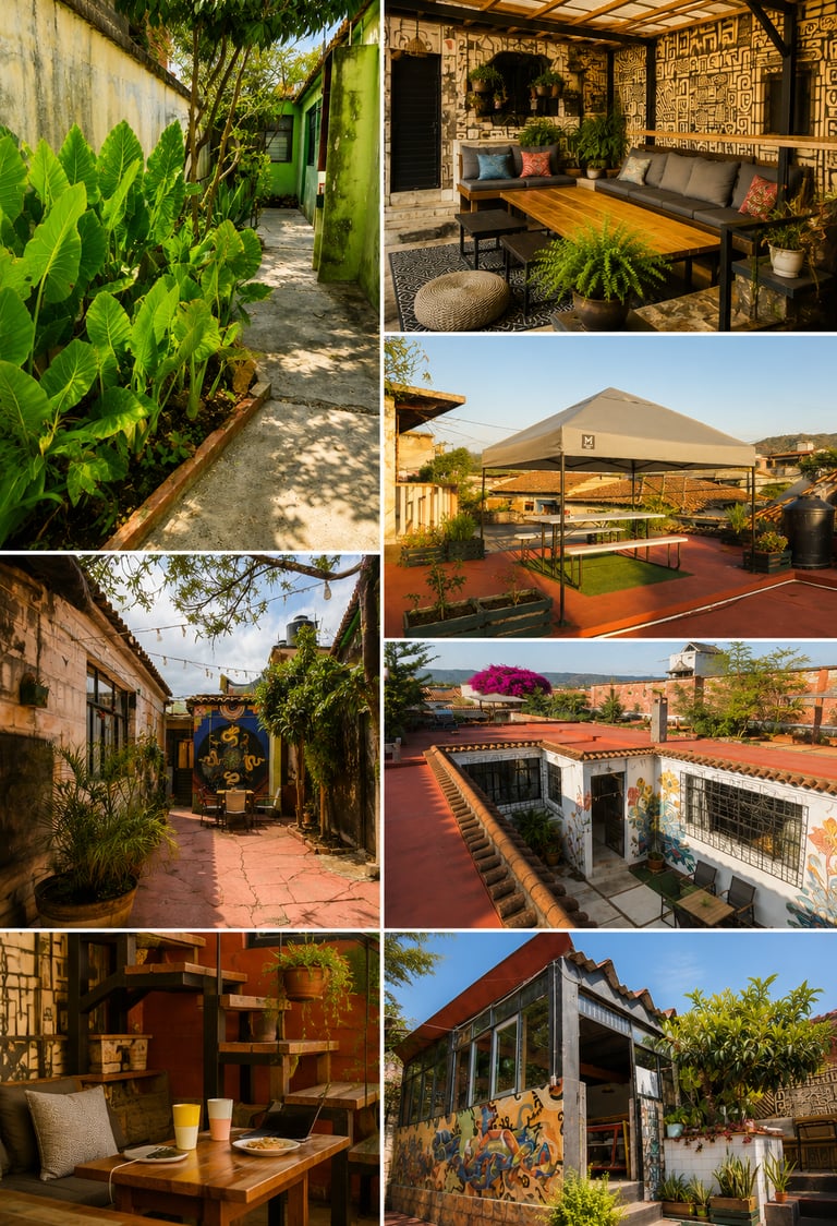 Biophilic coworking surrounded by plants