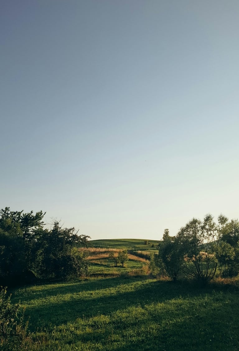 Arcadia Enviromental affordable wastewater reports Queensland 