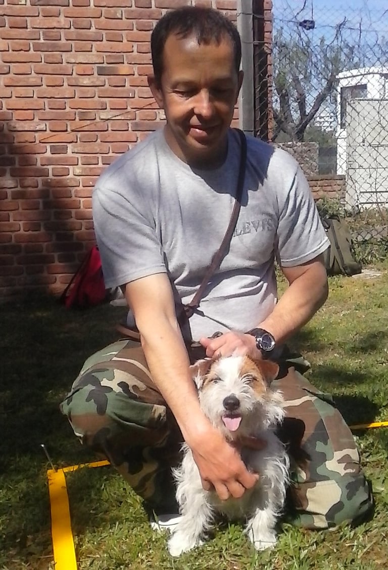 adiestrador de cachorros