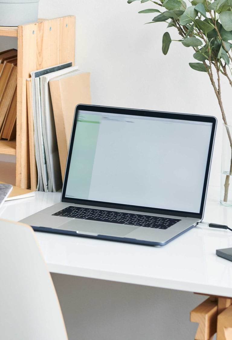 Laptop on a white desk, with houseplants and notebooks around