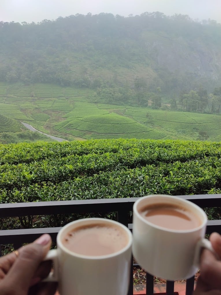 Having coffee at Zero degree jungle resort looking at tea estate.