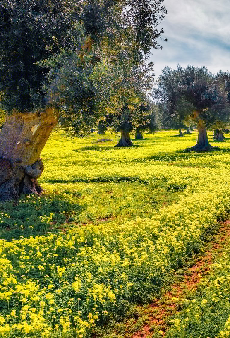nature relaxation