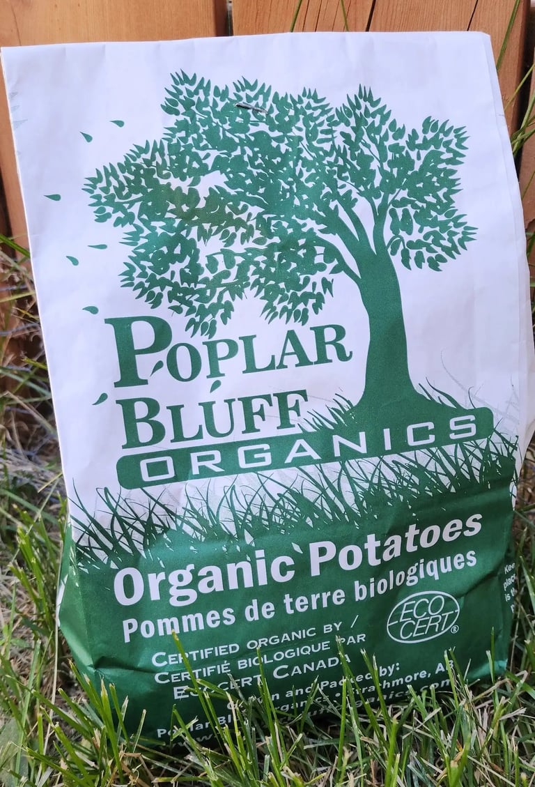 Green and white paper potato bag with Poplar Bluff Organics logo