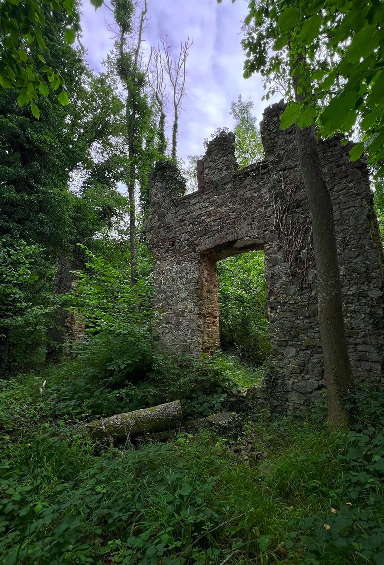 Oude doorgang van de kloosterruïne, half begroeid, omringd door stilte en natuur.