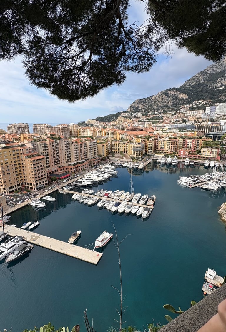 Port de Fontvieille