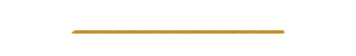 A single, horizontal gold line centered against a solid black background.