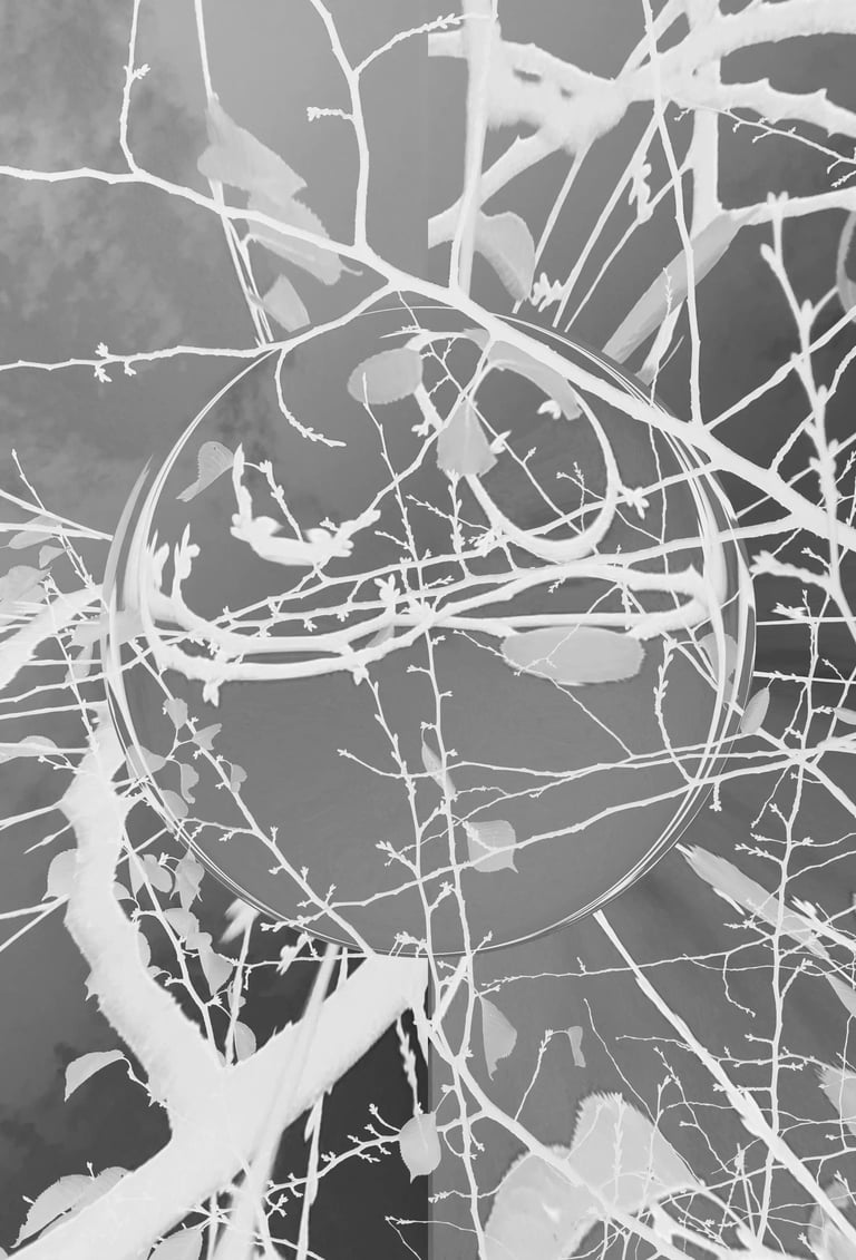 digital art, visual art, digital paintings, Joanna Wlaszyn