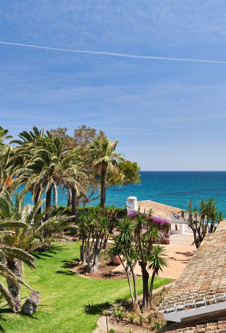 Palm gardens and tiled roofs by the sea