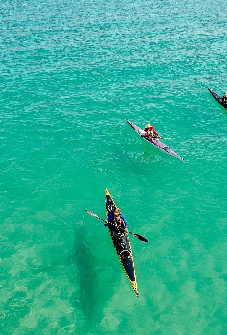 Lagos Boat Tours Algarve Portugal 