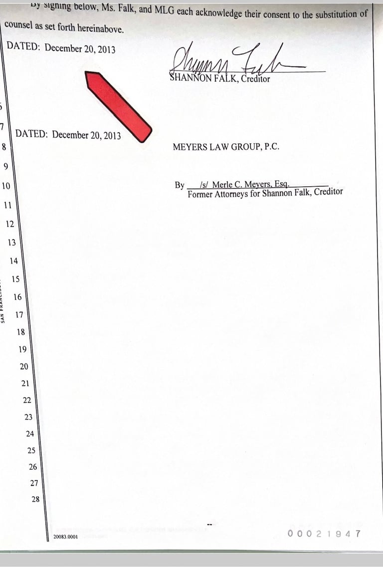 Former Client Shannon Falk fired Merle Meyers in Federal Court December 20, 2013