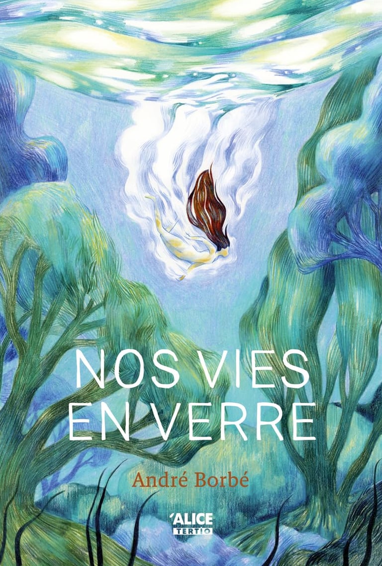 Première de couverture du roman Nos vies en verre d'André Borbé