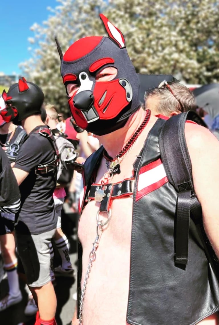 Man ina pup mask and lkeather vest mingles with a crowd outdoors.