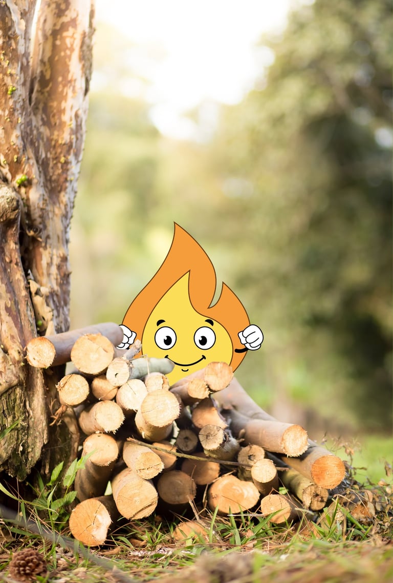 Maxima la petite flamme est derrière des bûches empilées