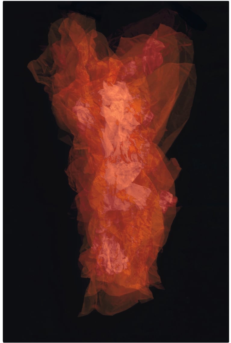an abstract photo composition
