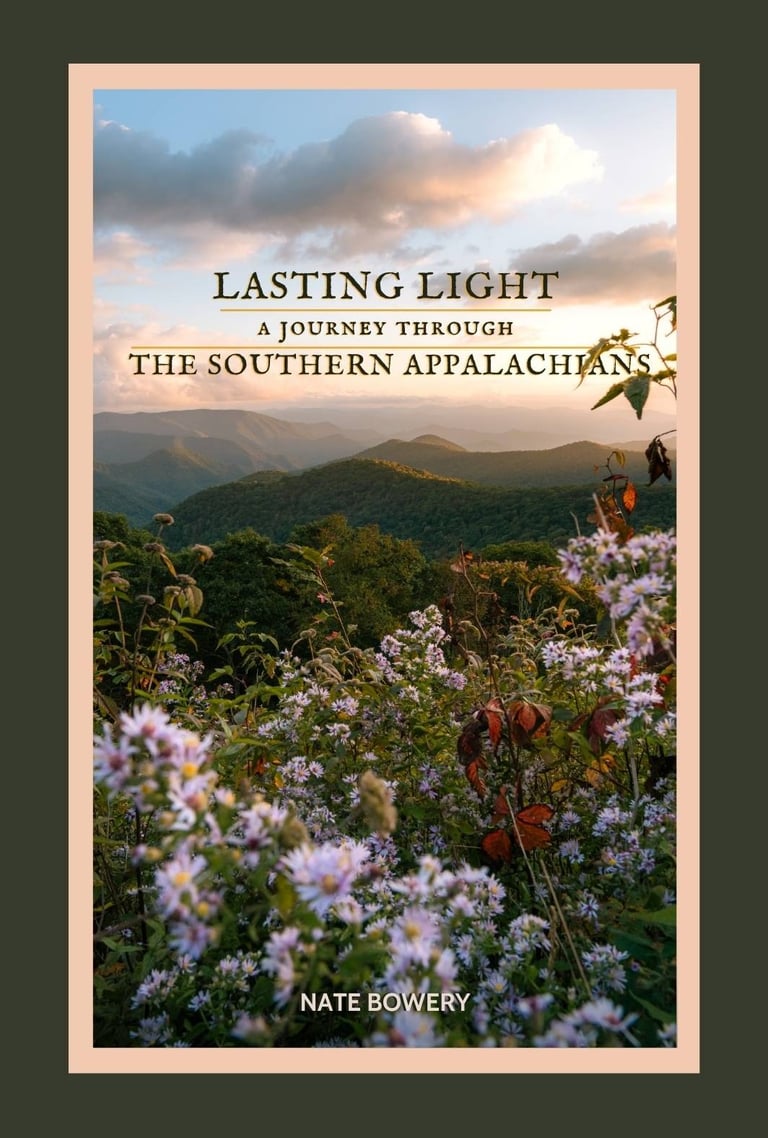 Book cover of Lasting Light featuring wildflowers overlooking the Southern Appalachian Mountains at sunset