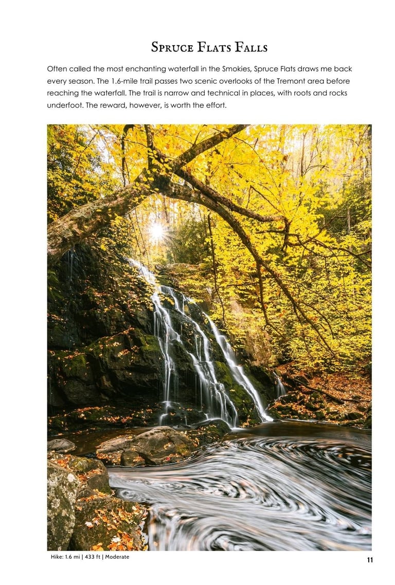 Scenic Spruce Flats Falls waterfall in Great Smoky Mountains surrounded by yellow autumn foliage.
