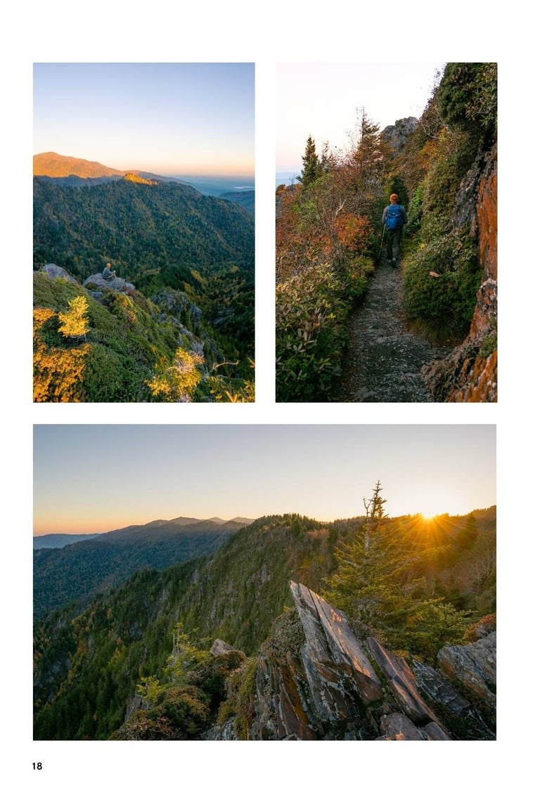 A hiker explores scenic mountain trails at sunrise with panoramic views of lush forest valleys.