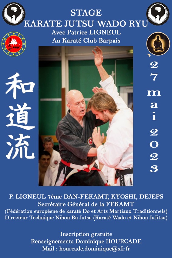 Stage de karaté Wado-Ryu animé par Patrice Ligneul