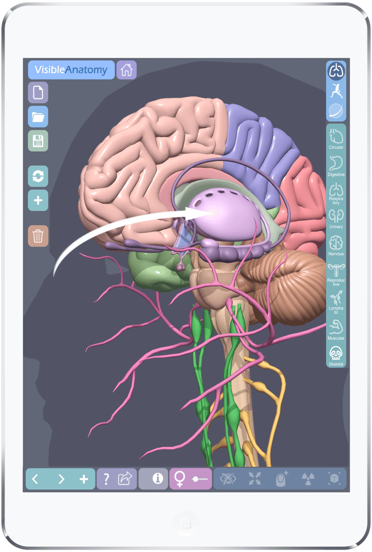 Ipad Medical App