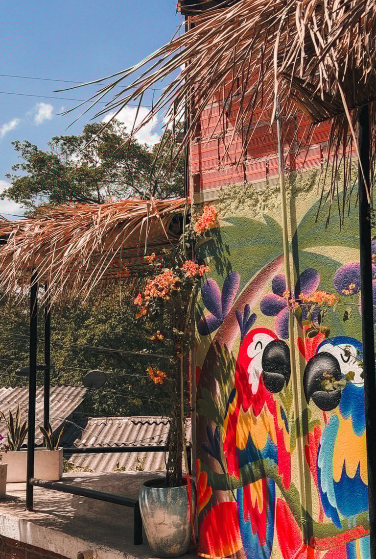 Mural art in the jungle town Minca, Colombia