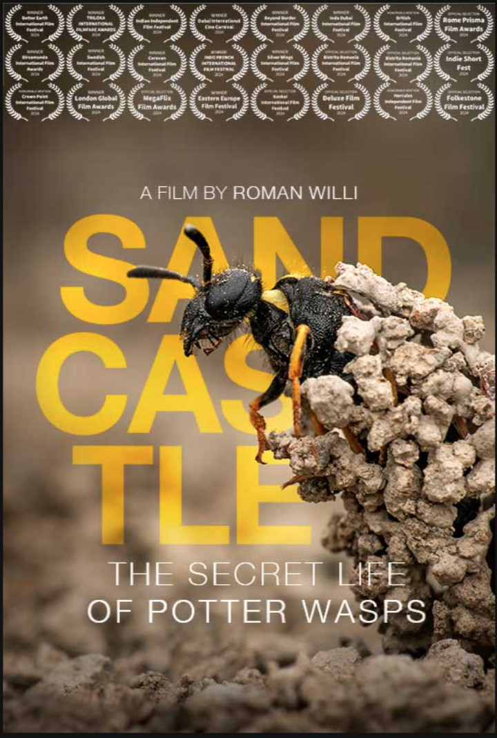 poster of award winning documentary abaout wasps with sound design and mix by etienne kompis