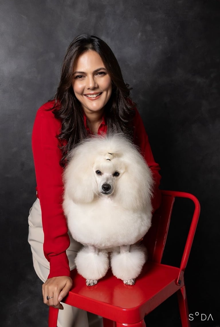 Dog receiving professional grooming service at Petsburgh Pet Grooming Spa in a clean salon.