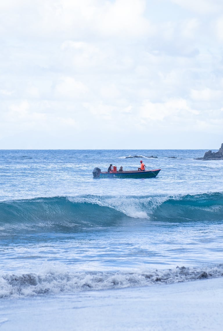 Martinique paysage photo
