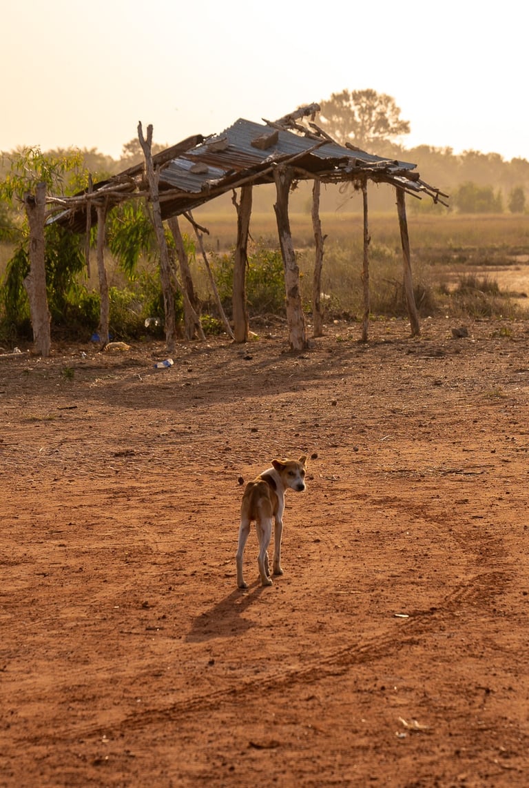 paysage sénégalais cassamance