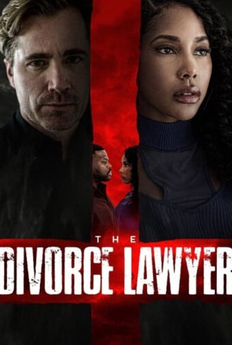 The Divorce Lawyer