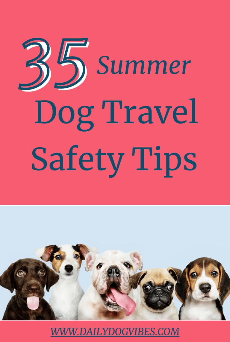 35 summer travel dog safety tips