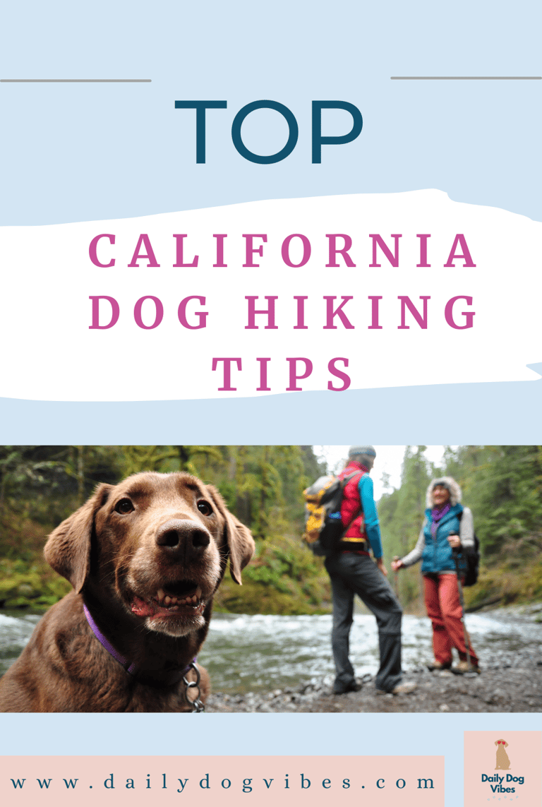 hiking with your dog in california
