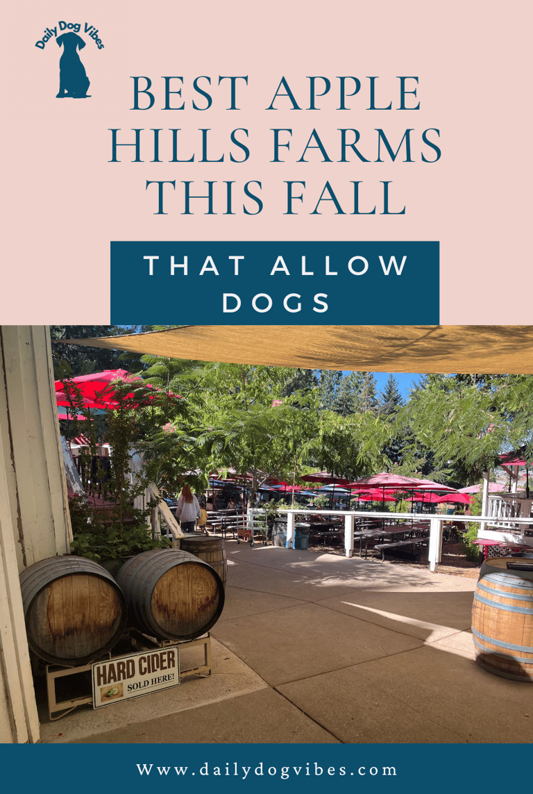 dog-friendly Apple Hill famrs