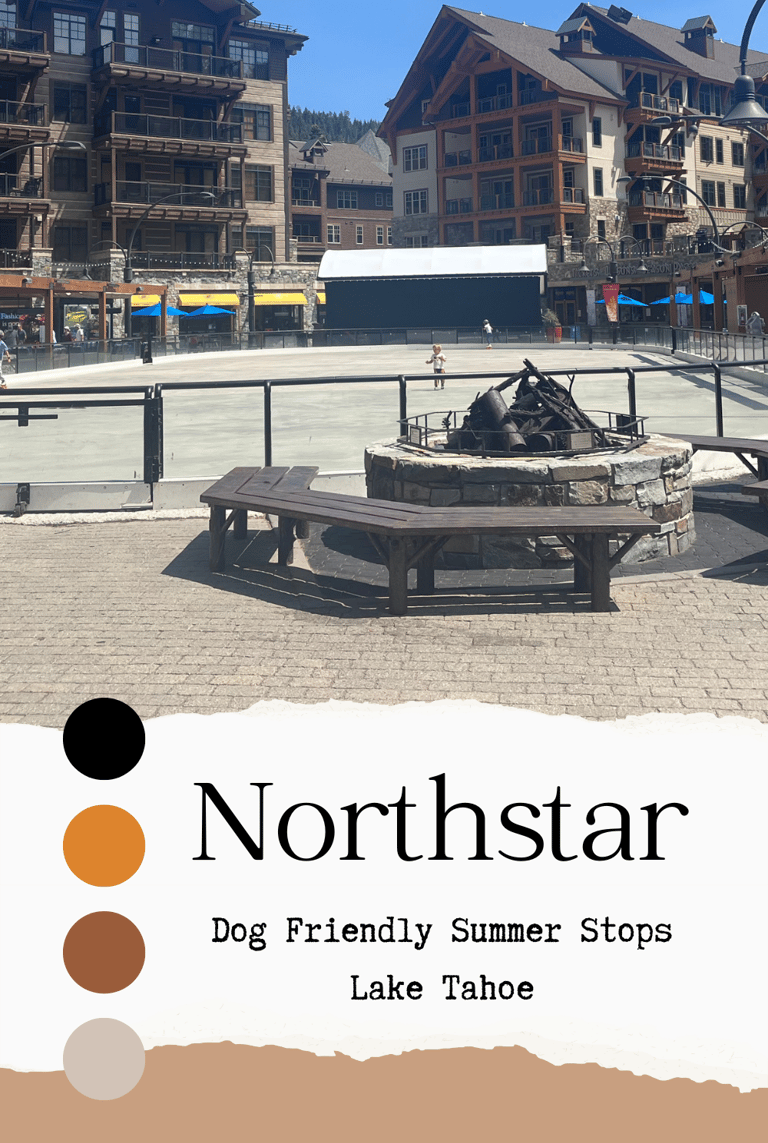 dog friendly travel lake tahoe