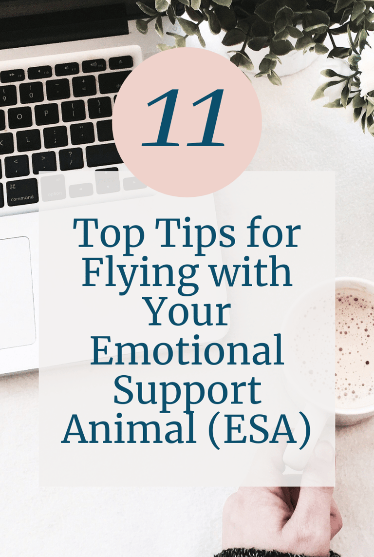 flight tips for traveling with emotional support animals