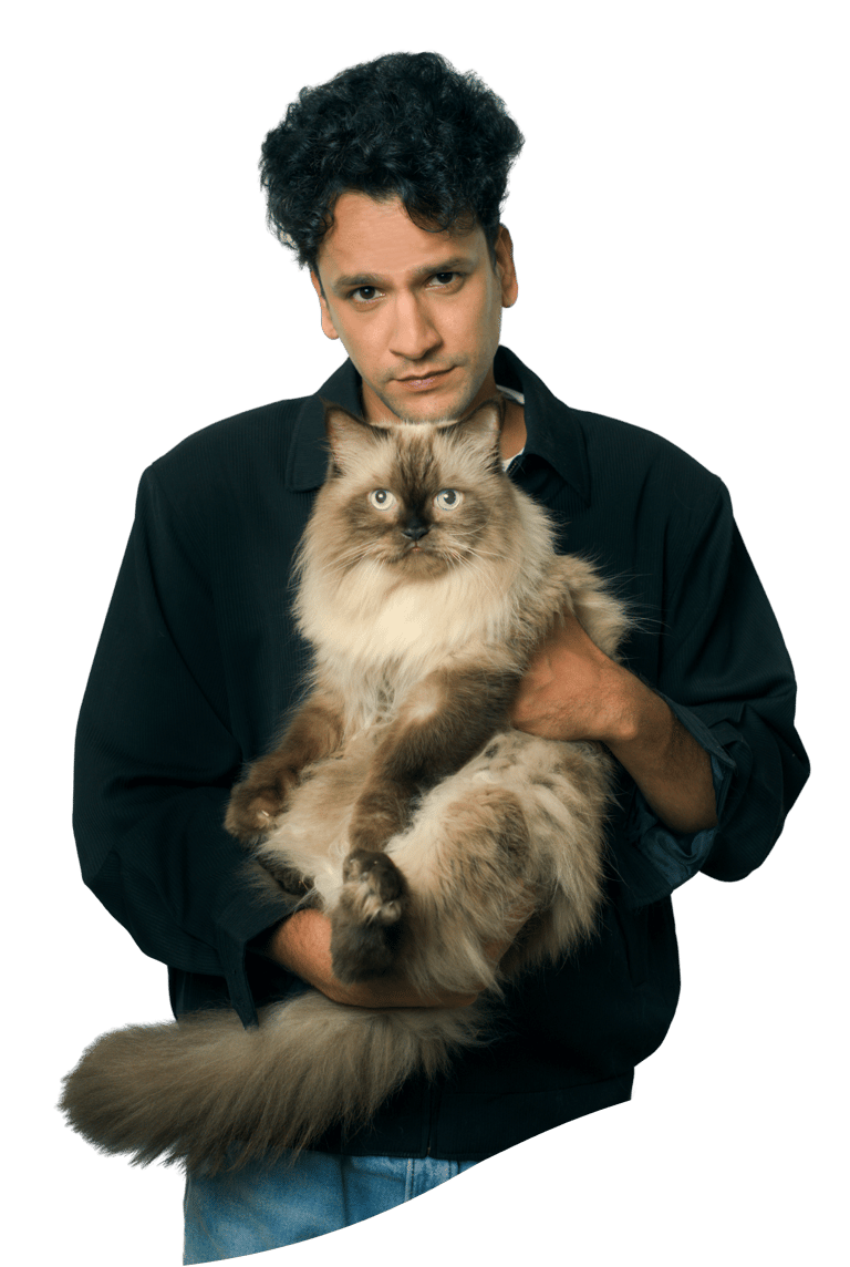 a man holding a himalayan cat - Gigo