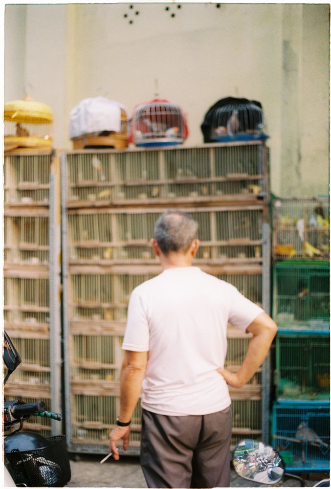 Man watch birds on the market in Saigon China town