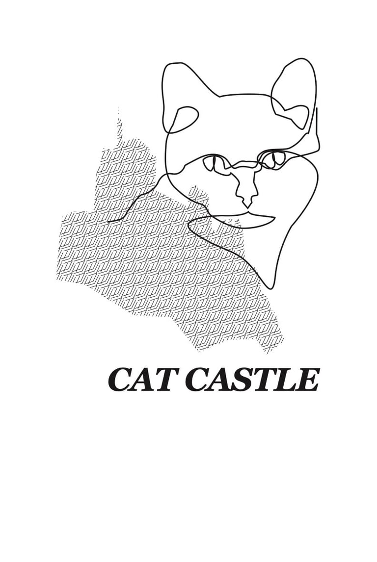 cat castle design