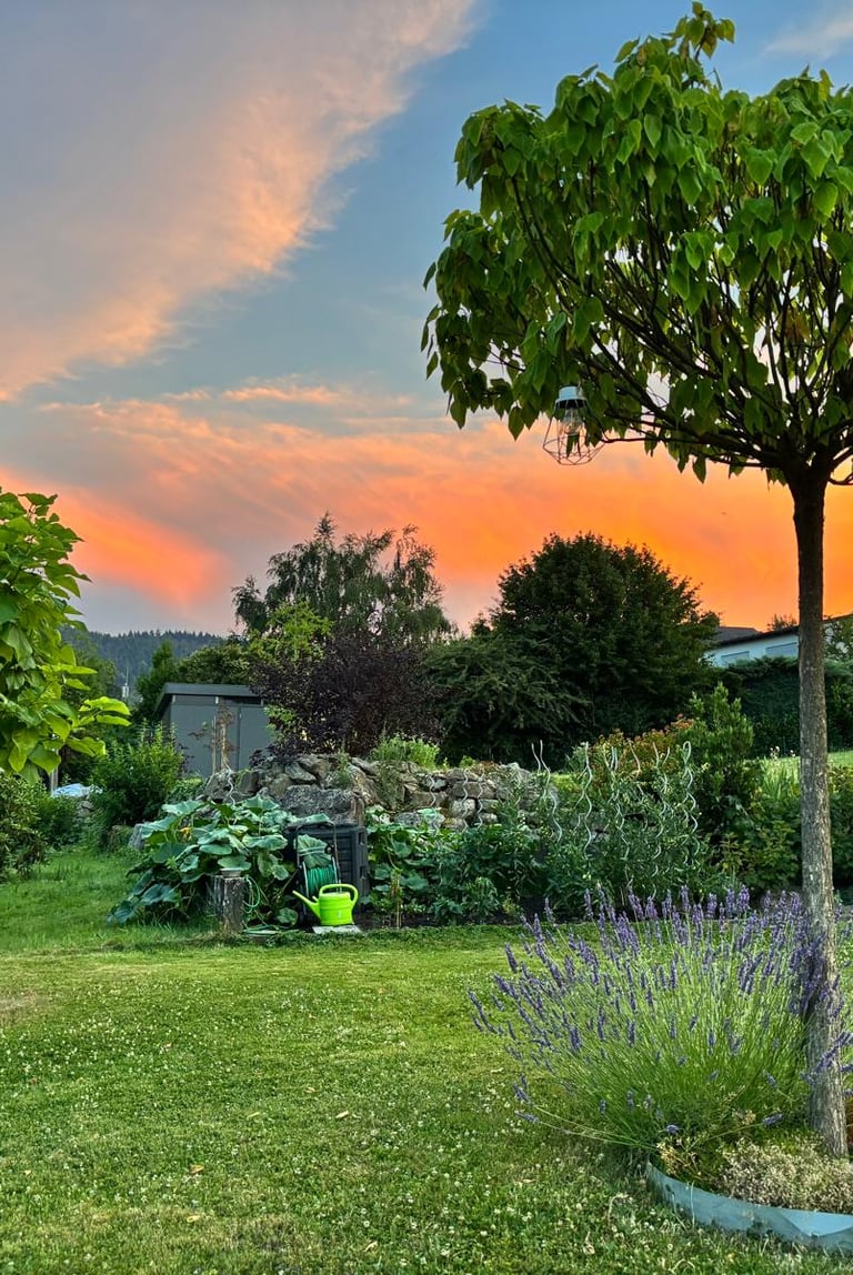 Sonnenuntergang vom Garten der Ferienwohungen