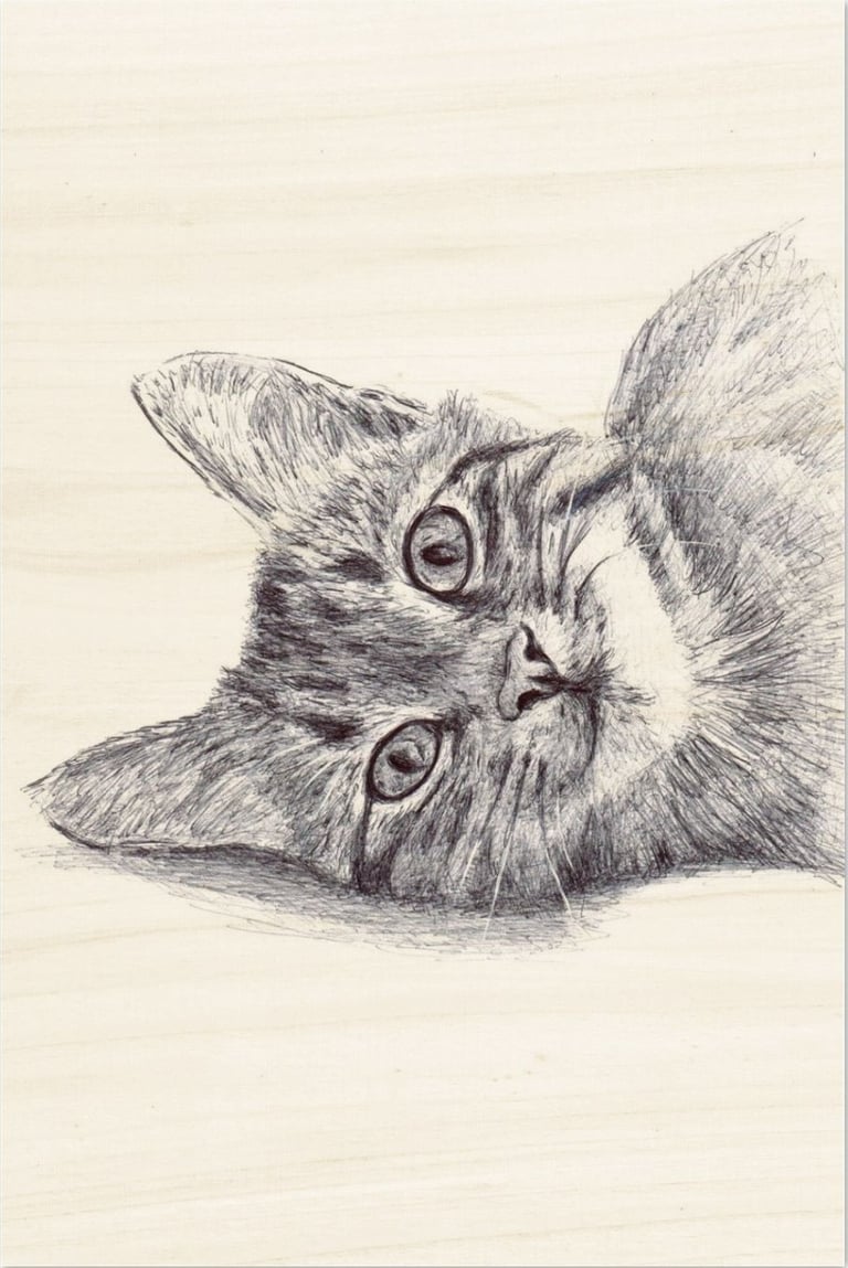 portrait de chat au stylo BIC imprimé bois FSC
