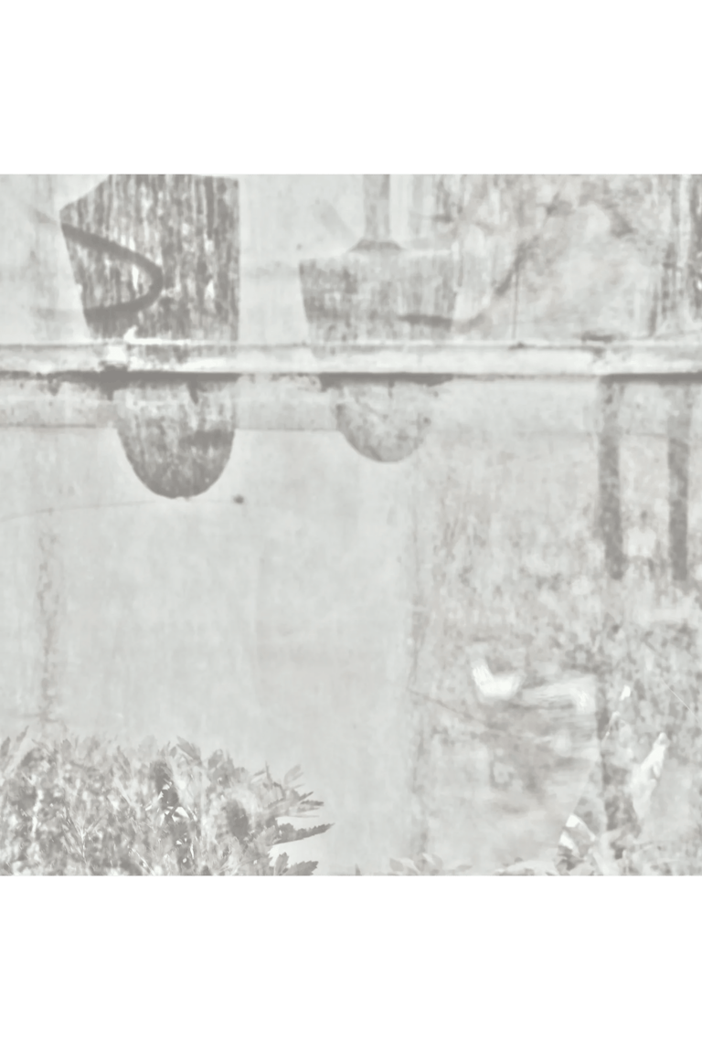Shadows of garden tools silhouetted behind a misty, fogged glass window pane.