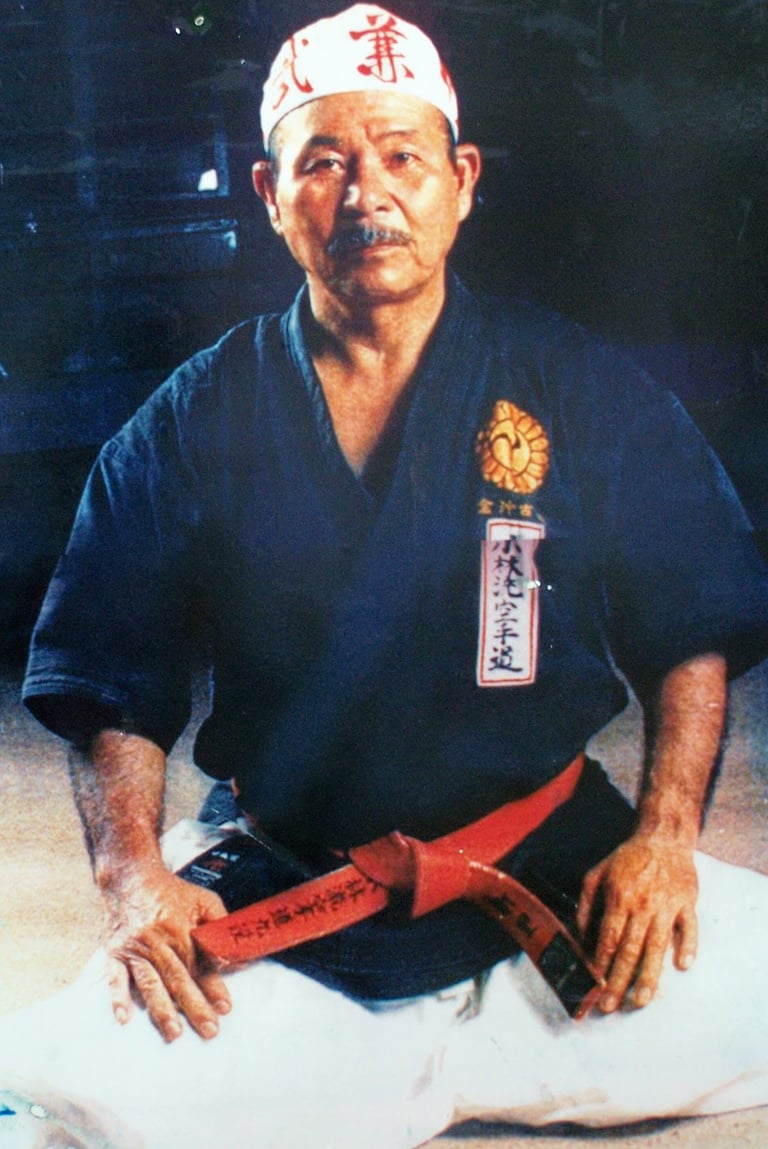 Pioneros de las artes marciales en Latinoamérica