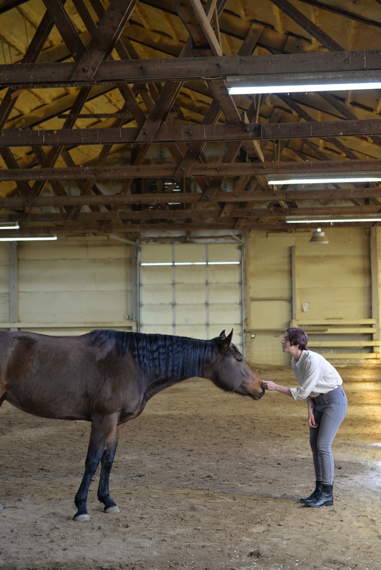 horse and human touching hand to nose Tamarin and Kassandra. Photo by Kaylyn B