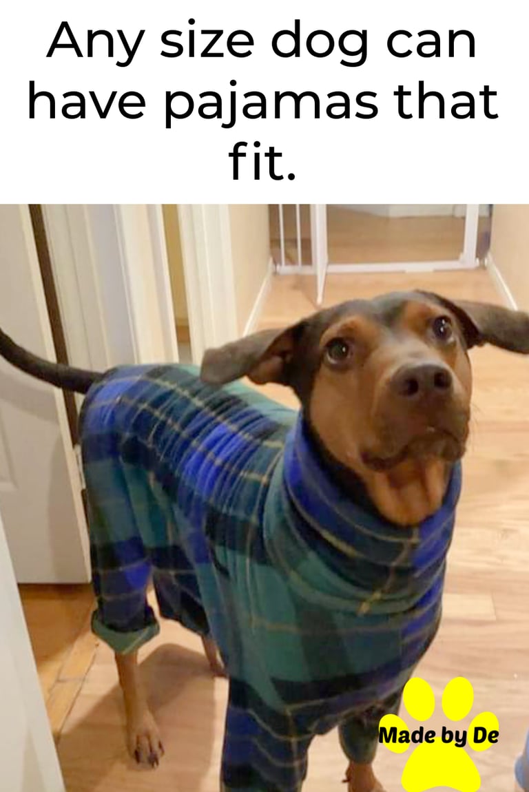 Brown dog wearing blue plaid pajamas